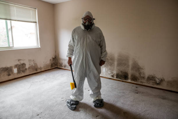 Mold Removal Process in Lake Lorelei, OH